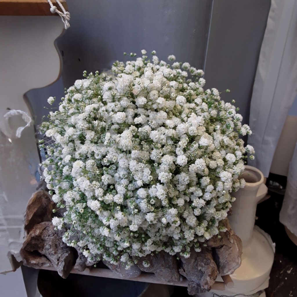 NYFIKOMPOUKETO ANETADECORATION 90 scaled 1